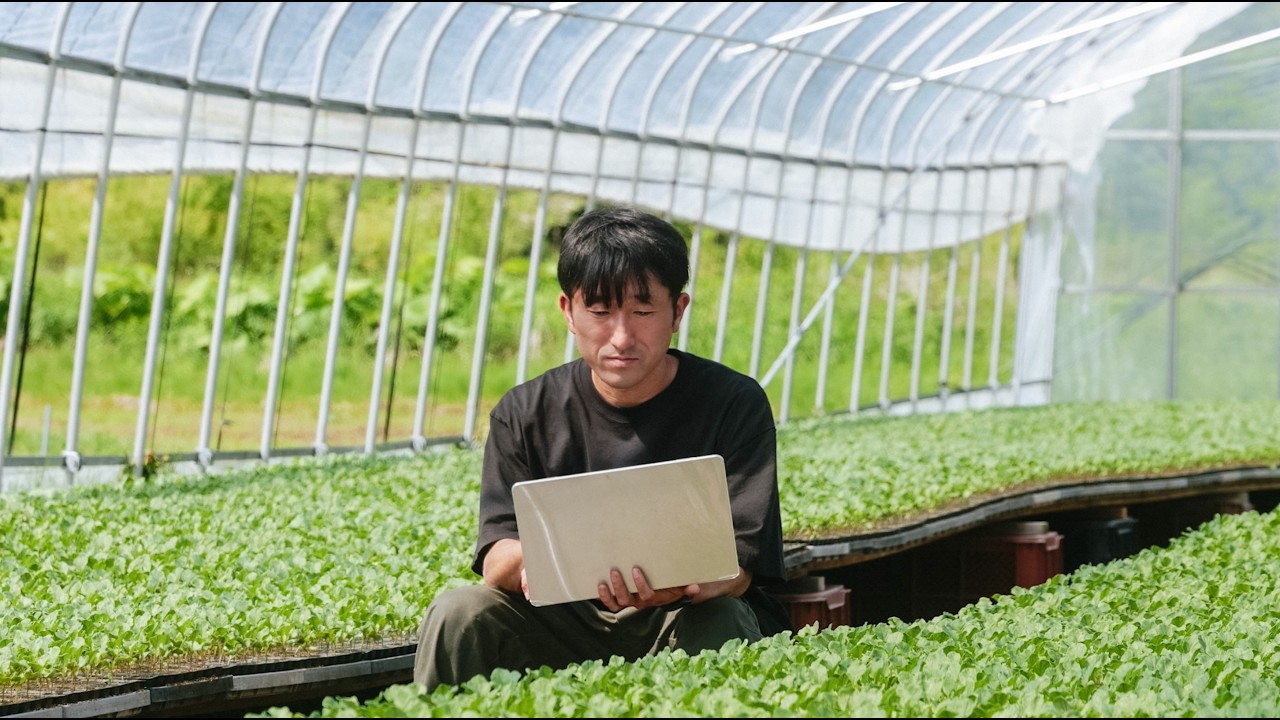 How Small Business Owners Use ChatGPT | Hiroki’s Story - OpenAI Youtube