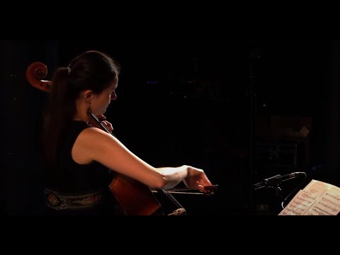 Richard Wagner - Traume  / A Brauner (violoncelle) et L de Ratuld (piano)