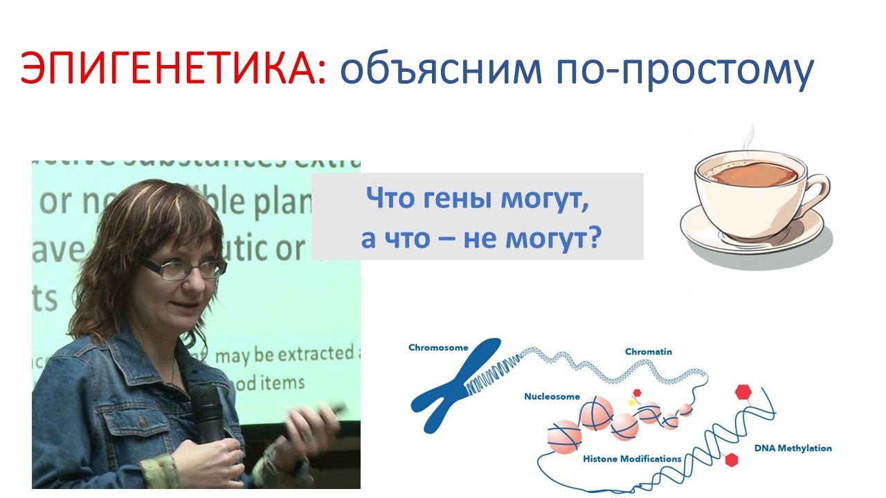 ЭПИГЕНЕТИКА! не все так жестко