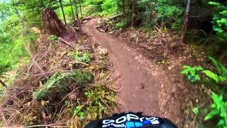 New Trail "Joyride" at Tiger Mountain