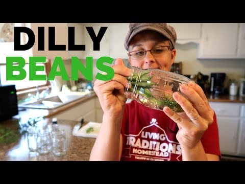 download lagu mp3 mp4 Dilly Pickles, download lagu Dilly Pickles gratis, unduh video klip Dilly Pickles