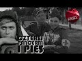 CZTEREJ PANCERNI I PIES Odcinek 17 Najlepsze Polskie Seriale Angielskie Napisy