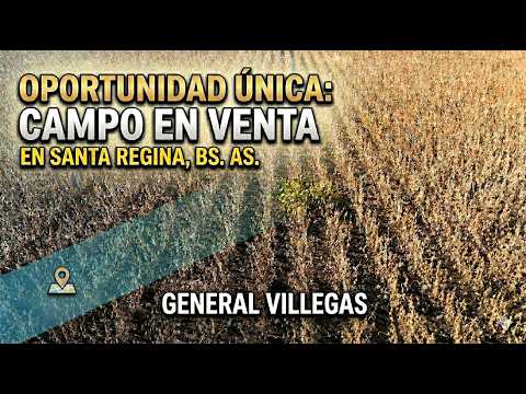 Campo 223 ha en Santa Regina, General Villegas en venta