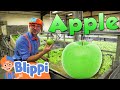 Learning Healthy Eating For Kids With Blippi At The Apple Factory Educational Videos For Toddlers