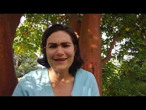 Thoughtful Thursdays - June 25, 2020