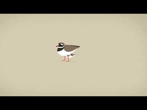 Nationalpark Vadehavet