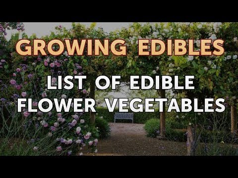 download lagu mp3 mp4 Flower Vegetables List, download lagu Flower Vegetables List gratis, unduh video klip Flower Vegetables List