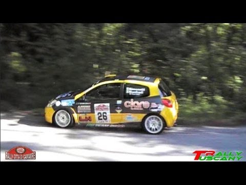 19° Rally Città di Camaiore (2013)
