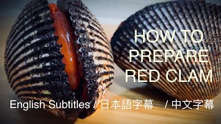 【Insanely Huge!!】RED CLAM (ARK SHELL) Sashimi | Cook & Eat AMAZING Seafood in Dalian, China | 赤貝 大連
