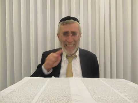 הרב יהושע ביבי - יום הכיפורים - תשפ"ו - שיעור מס' 013 - מחלוקת הנו''כ בעליית זו''ן בלו''ח דמוסף