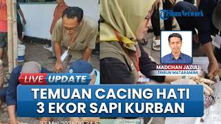 Temuan Cacing Hati di 3 Ekor Sapi, Disnakkan Trenggalek Menyarankan Dibuang Bagian Tersebut