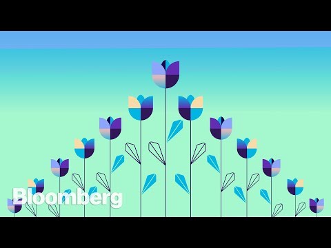 鬱金香和大衰退的共同點是什麼？ (What Tulips and the Great Recession Have in Common)