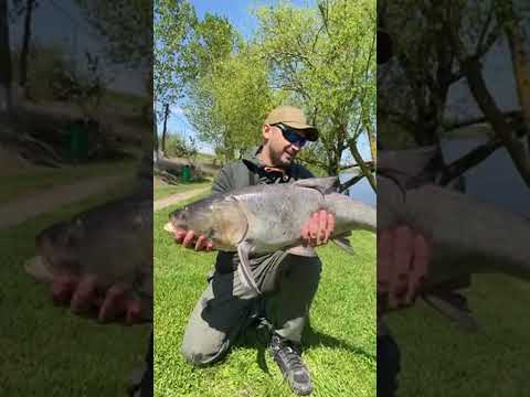 Monstrul din Balta Nana!! 💪💪💪