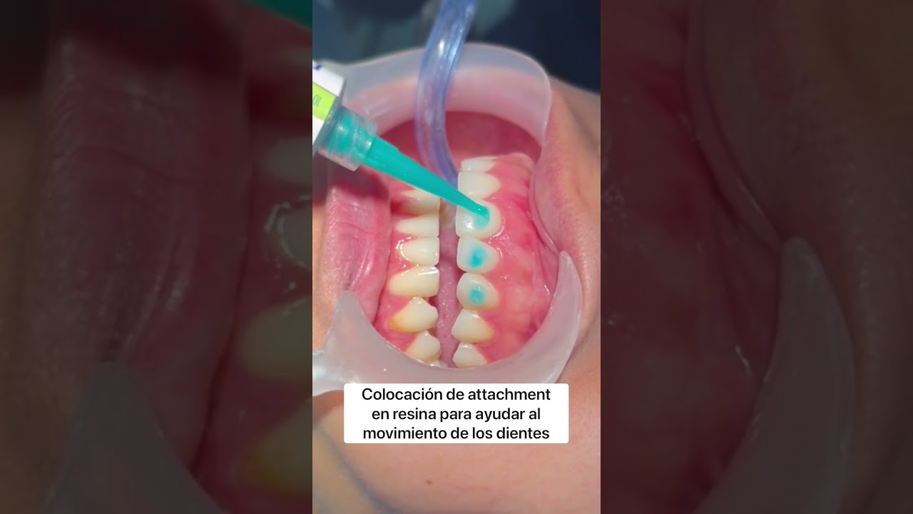 Catalina María Giraldo Guzmán-13