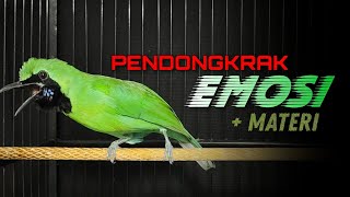Download lagu 🔴 PENDONGKRAK EMOSI‼️CUCAK IJO GACOR JAMTROK FULL TEMBAKAN NGEROLL mp3 Download lagu 🔴 PENDONGKRAK EMOSI‼️CUCAK IJO GACOR JAMTROK FULL TEMBAKAN NGEROLL mp3