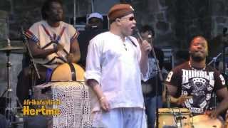 C'est Bon LIVE by Salif Keita African Music Hertme Festival 2013