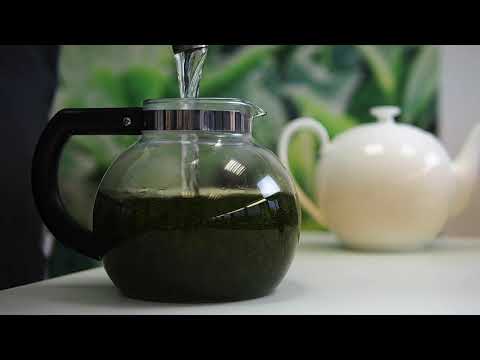 Grünen Tee zubereiten