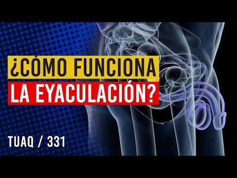 Cómo funciona la #EYACULACIÓN
