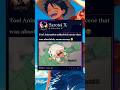 Toei Animation Added A New Scene To Episode 1144 Luffy Gorosei Toeianimation Onepiece