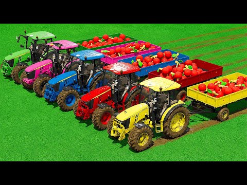 LOAD AND TRANSPORT CHERRIES WITH JOHN DEERE TRACTORS – Farming Simulator 25