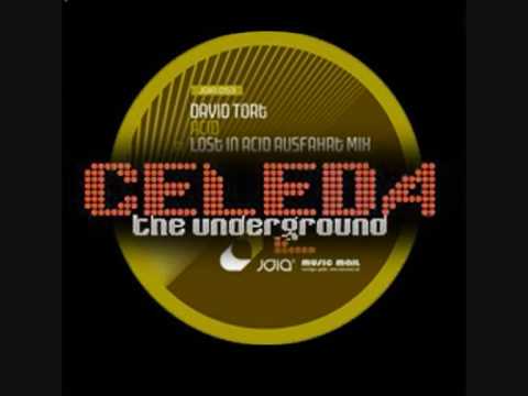 David Tort Vs. Celeda - Lost In The Underground (Acid mashup)
