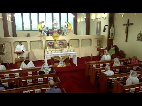 Daily Readings and Homily - 2025-08-19 - Fr. Patrick