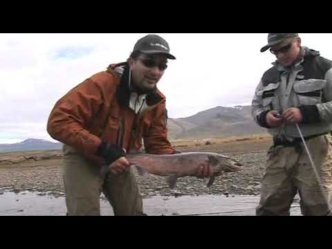 Veitt með vinum Víðidalsá sería 3