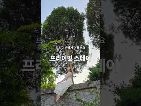 밤의 머뭄