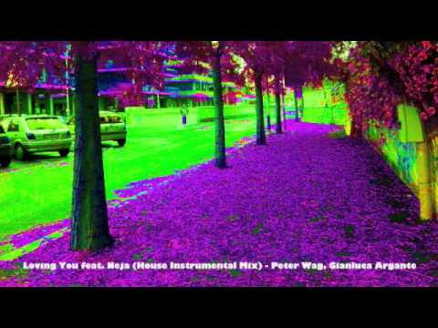Loving You feat. Neja (House Instrumental Mix) - Peter Wag, Gianluca Argante.m4v