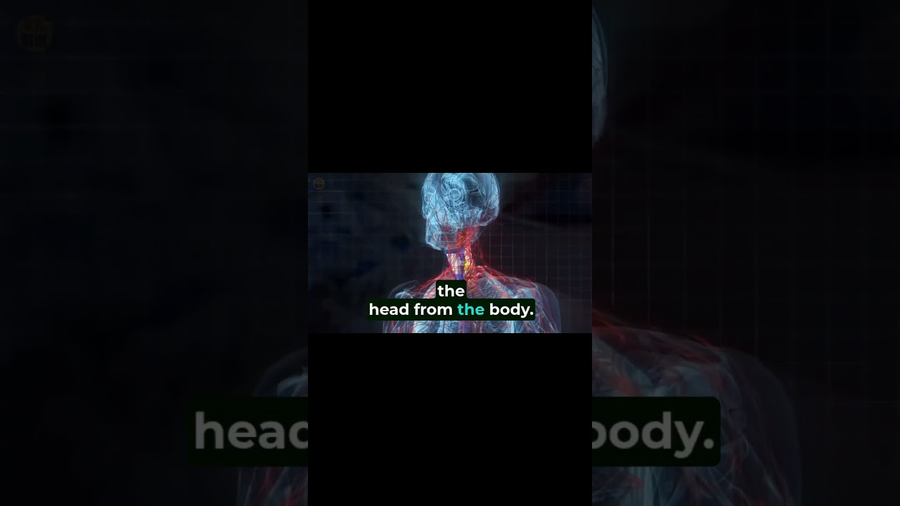 World’s First AI-Powered Head Transplant System