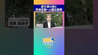 【100年天気予報】~3分でわかる~ 栃木県が挑む気候変動への適応戦略 #通勤タイパ #気候変動