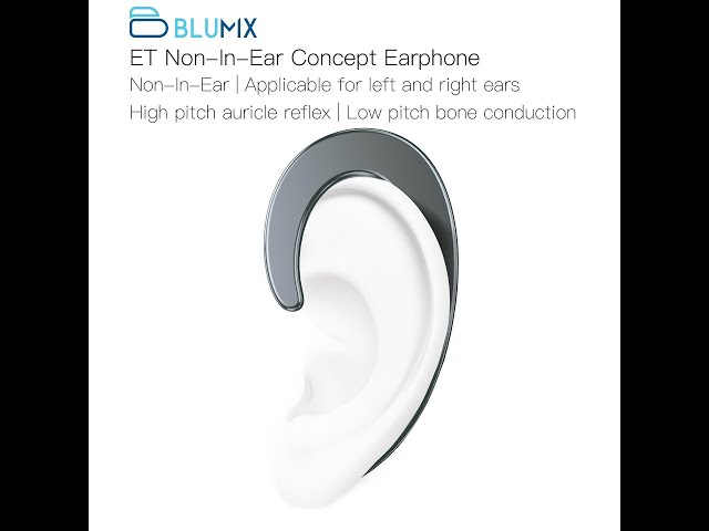 Bluetooth earohone