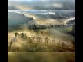 Coyote Oldman-Light. And Mist!