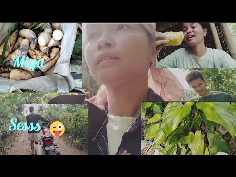 Miy( Bambooshoot) Phai Lai Gu Hachal Ma Ni||Atingsha J Vlog ❤️🍁||