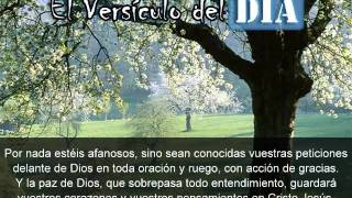 Miniatura del video: El versiculo del dia .com - Filipenses 4 v6-7