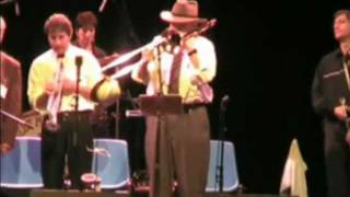 Sweet Mary Cat and Guests: Ice Cream