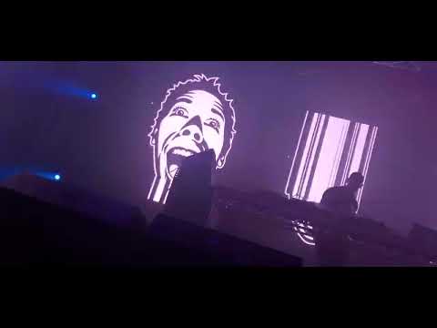 Dolphin @ Bangface Weekender 2022