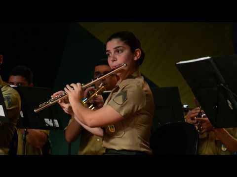 EXERCITO BRASILEIRO - Banda do 4 BIL 2017