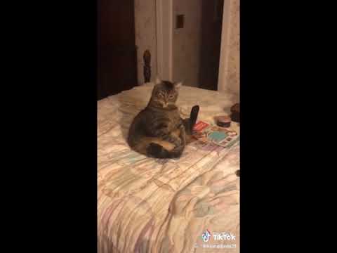 Look at this distinguished gentleman