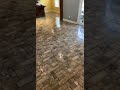Epoxy Clear Coat Super Sealer