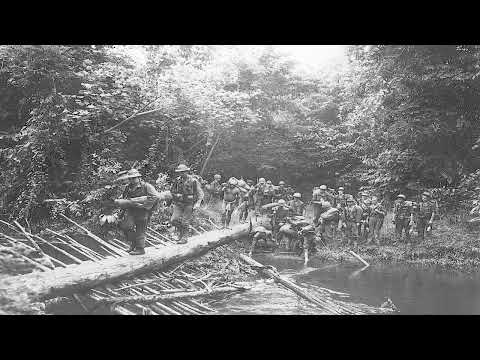 Australia's Hell: The Impossible Fight for the Kokoda Track 1942