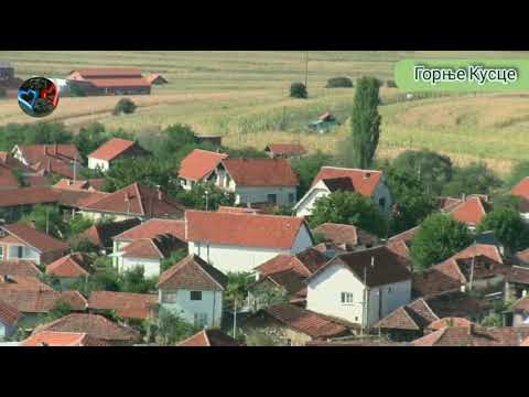 СВУ НОЋ МИ БИЛБИЛ ПРЕПЕВА - РАНКО ШЕМИЋ