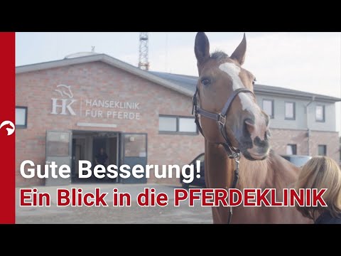 Ein Blick hinter die Kulissen! Wir waren für Euch in der Hanseklinik! 🏥