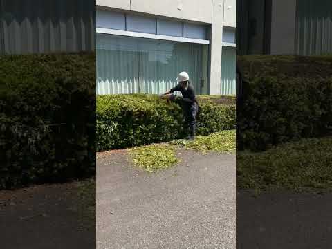 jardin-alpin-idées-décoration-pierres-naturelles