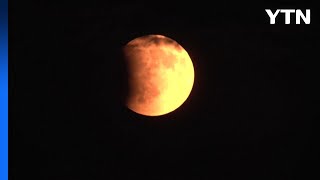 '붉은 달' 떠올랐다...세계 각지에서 '개기월식' 관찰 / YTN