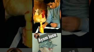 Download lagu Ayam lucu#video lucu#meme lucu#video viral#short#ytshort mp3 Download lagu Ayam lucu#video lucu#meme lucu#video viral#short#ytshort mp3