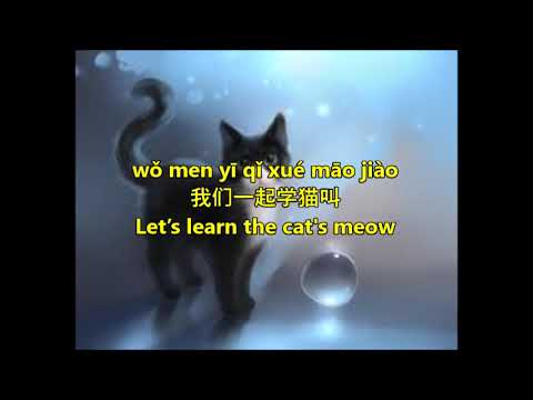 Xue Mao Jiao 学猫叫 - Pinyin lyrics with English translation = Xiao Panpan 小潘潘 & Xiao Fengfeng 小峰峰