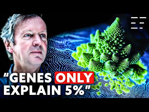 Nature's Hidden Intelligence: Morphic Fields | Rupert Sheldrake PhD