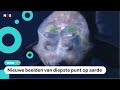 Deze waanzinnige dieren leven op 11 kilometer diepte