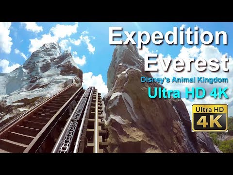 Expedition Everest Roller Coaster On Ride Front Seat Ultra HD 4K POV Walt Disney World GoPro